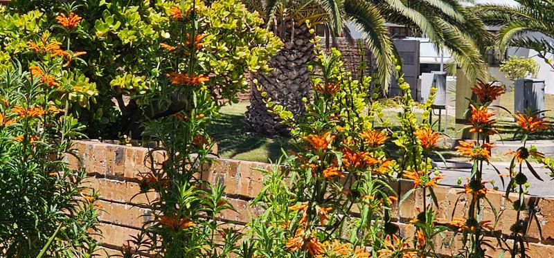 4 Bedroom Property for Sale in Middedorp Western Cape